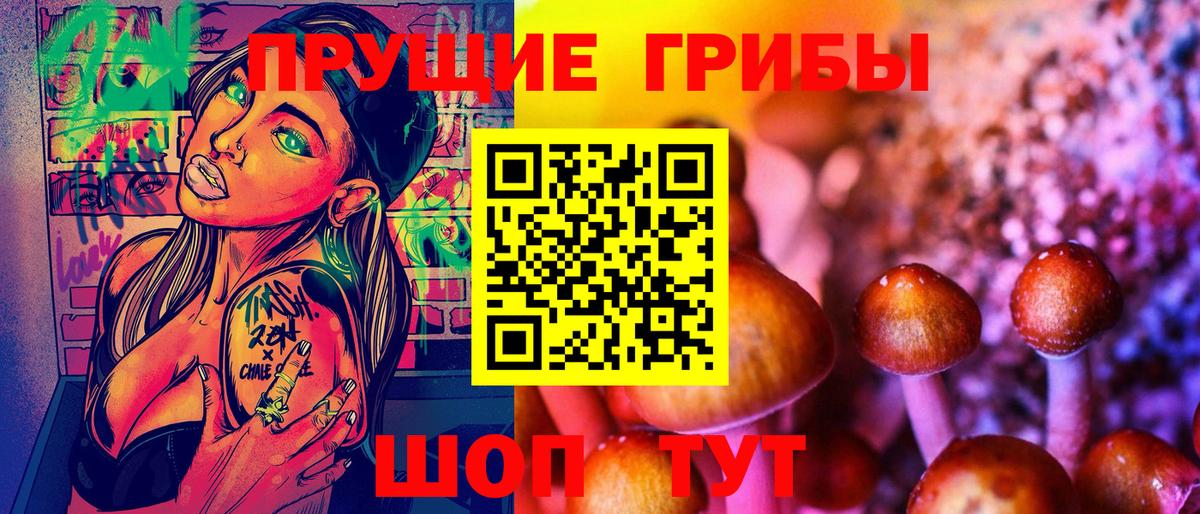 магазин  наркотиков  Вход с VPN  Елизово  Галлюциногенные грибы Psilocybe 